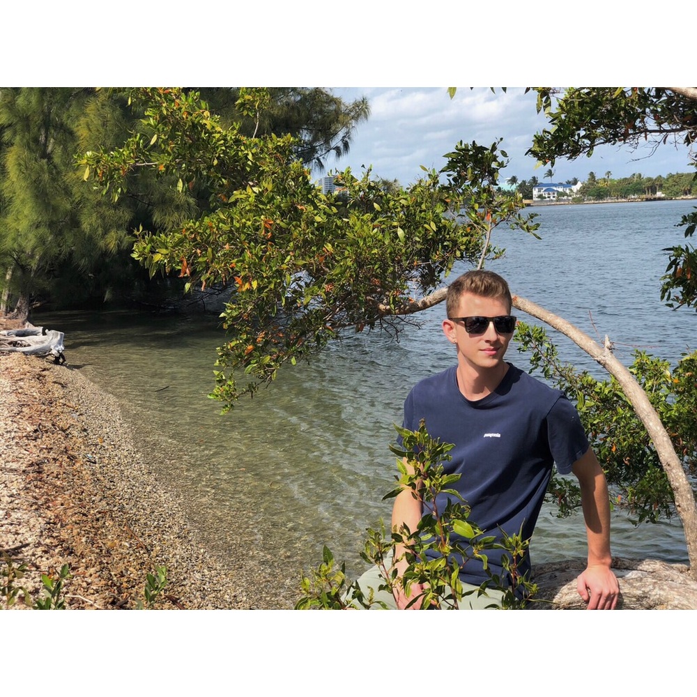 Matt - Picture 4 of 4